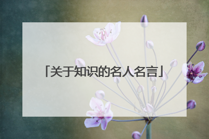 关于知识的名人名言