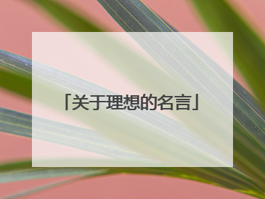 关于理想的名言