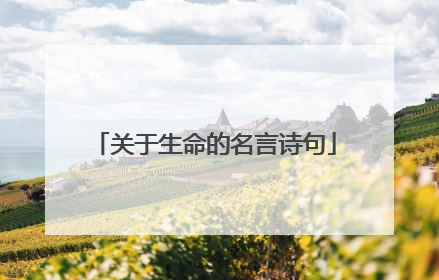 关于生命的名言诗句