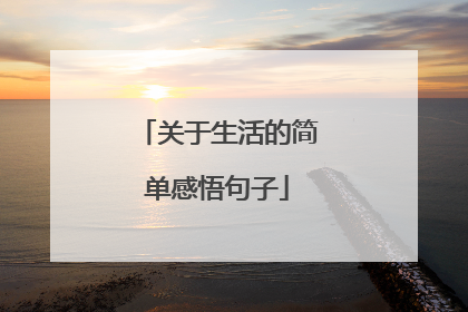 关于生活的简单感悟句子