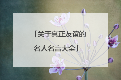 关于真正友谊的名人名言大全