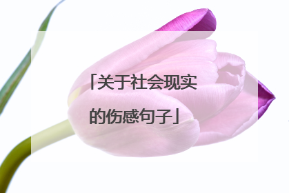 关于社会现实的伤感句子