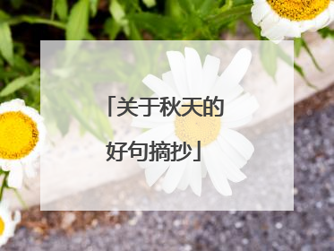 关于秋天的好句摘抄