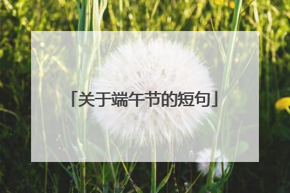 关于端午节的短句