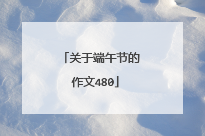 关于端午节的作文480
