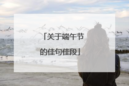 关于端午节的佳句佳段