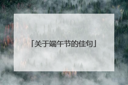 关于端午节的佳句