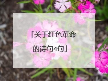 关于红色革命的诗句4句
