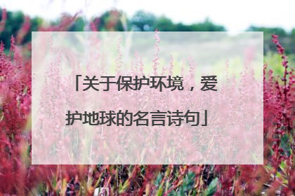 关于保护环境，爱护地球的名言诗句