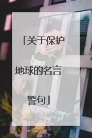 关于保护地球的名言警句