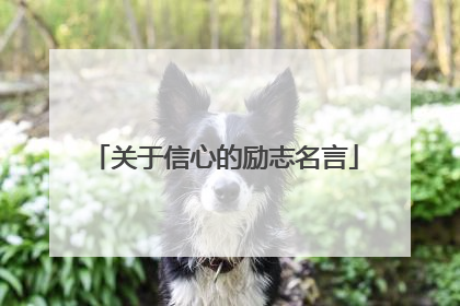 关于信心的励志名言