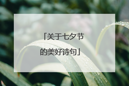 关于七夕节的美好诗句