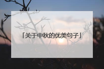 关于中秋的优美句子