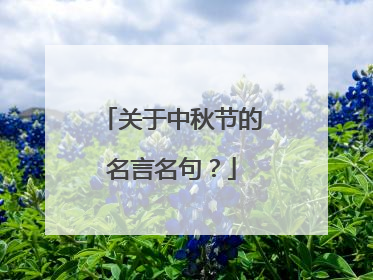 关于中秋节的名言名句？