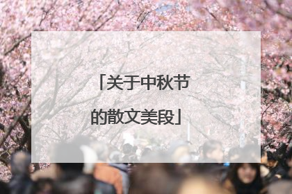 关于中秋节的散文美段