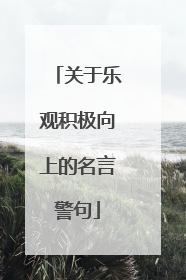 关于乐观积极向上的名言警句