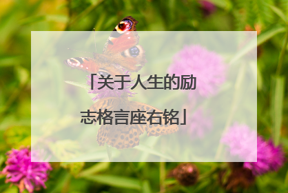关于人生的励志格言座右铭