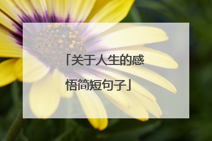 关于人生的感悟简短句子