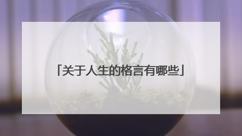 关于人生的格言有哪些