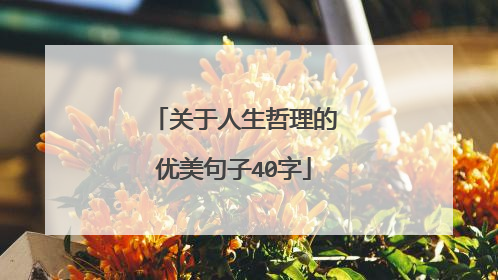 关于人生哲理的优美句子40字