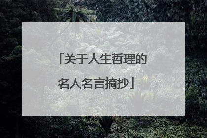 关于人生哲理的名人名言摘抄