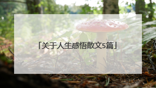 关于人生感悟散文5篇