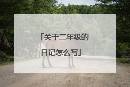 关于二年级的日记怎么写