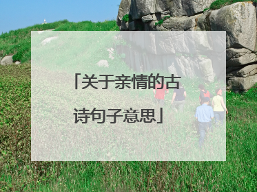 关于亲情的古诗句子意思