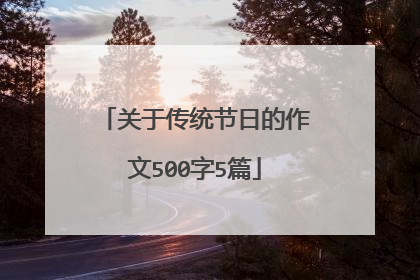 关于传统节日的作文500字5篇