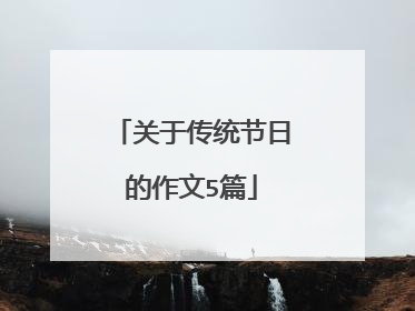 关于传统节日的作文5篇