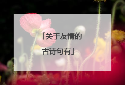 关于友情的古诗句有