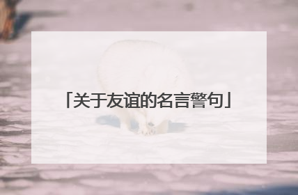 关于友谊的名言警句