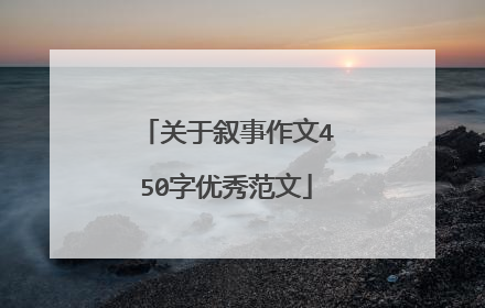 关于叙事作文450字优秀范文