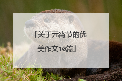 关于元宵节的优美作文10篇