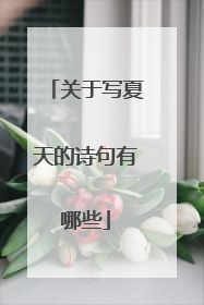 关于写夏天的诗句有哪些