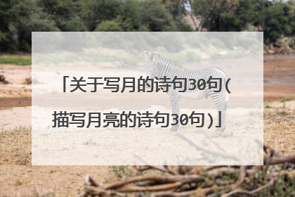 关于写月的诗句30句(描写月亮的诗句30句)