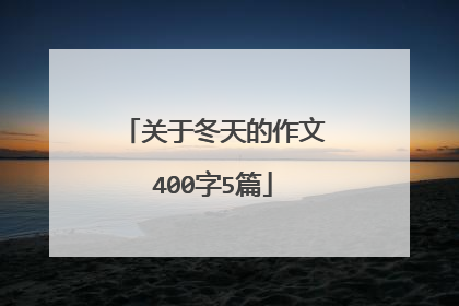 关于冬天的作文400字5篇