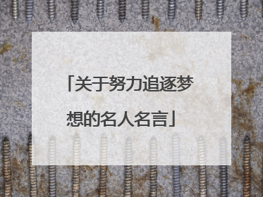 关于努力追逐梦想的名人名言