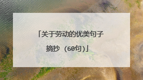 关于劳动的优美句子摘抄 (60句)