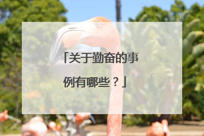 关于勤奋的事例有哪些？