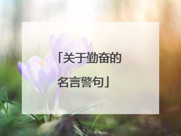 关于勤奋的名言警句