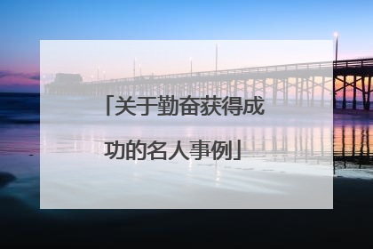 关于勤奋获得成功的名人事例