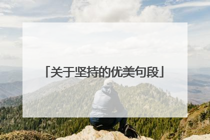 关于坚持的优美句段
