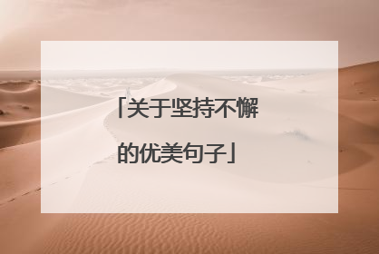 关于坚持不懈的优美句子
