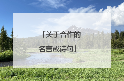 关于合作的名言或诗句