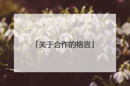 关于合作的格言