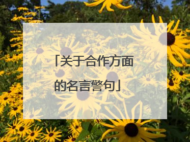 关于合作方面的名言警句