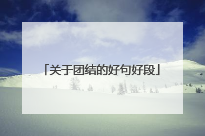 关于团结的好句好段