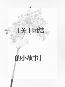 关于团结的小故事