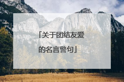 关于团结友爱的名言警句